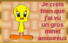 trop trop mimi